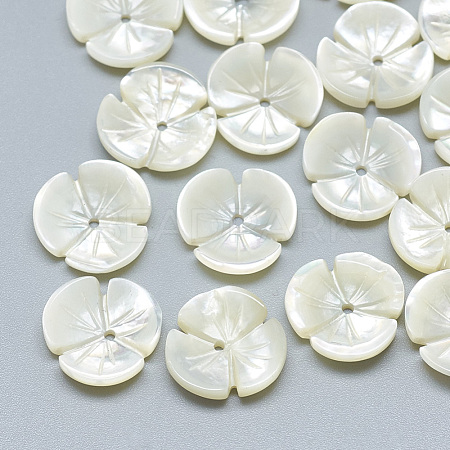 Natural White Shell Beads SSHEL-S260-023-1