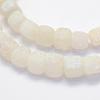 Natural Weathered Agate Beads Strands G-G705-10mm-04-3