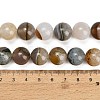 Natural Agate Beads Strands GG-L001-L02-03D-5