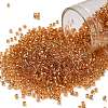 TOHO 11/0 Round Beads SEED-TR11-0753-1