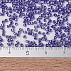 MIYUKI Delica Beads SEED-X0054-DB1569-4