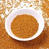 MIYUKI Delica Beads SEED-X0054-DB2104-2