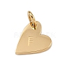 304 Stainless Steel Charms STAS-L291-01G-F-2