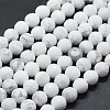 Natural Howlite Beads Strands G-D0013-65-1