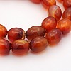 Oval Natural Carnelian Beads Strands G-D622-06-A-1