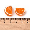 Handmade Lampwork Beads LAMP-S079-12B-4