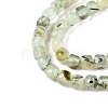 Natural Prehnite Beads Strands G-N342-124-3