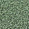 MIYUKI Delica Beads SEED-MY11-DB2310-3