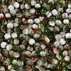 Drawbench Style Glass Seed Beads SEED-Q039-01L-3