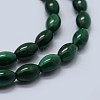 Natural Malachite Beads Strands G-F571-21-C-3
