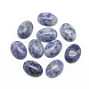 Natural Blue Spot Jasper Cabochons X-G-R415-13x18-45-1