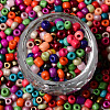 6/0 Glass Seed Beads SEED-R051-03C-3
