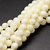 Shell Beads Strands SSHEL-E571-39-4mm-1