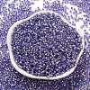 Glass Seed Beads X1-SEED-S042-04A-08-2
