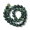 Natural Moss Agate Beads Strands X-GSR10mmC001-4