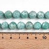 Natural Amazonite Beads Strands G-S345-10mm-25-5
