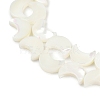 Natural White Shell Beads Strands SSHEL-10X12-2
