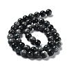 Natura Hawk's Eye Beads Strands G-D0001-22B-8mm-01-3