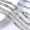 Natural Labradorite Round Beads Strands G-S158-4mm-4