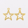 201 Stainless Steel Charms X-STAS-F162-13G-2