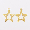 201 Stainless Steel Charms X-STAS-F162-13G-2