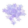Transparent Acrylic Beads Caps OACR-B022-02A-1