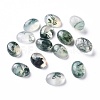 Natural Moss Agate Cabochons G-F697-E02-1