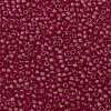 TOHO 11/0 Round Beads SEED-XTR11-0165BF-2