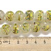 Handmade Lampwork Beads Strands LAMP-L079-05H-4