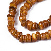 Natural Trochid Shell/Trochus Shell Beads Strands SHEL-S258-081-B09-3
