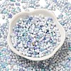 Two Tone Baking Paint Glass Seed Beads SEED-F005-01A-09-2