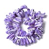Dyed Natural Trochus Shell Beads Strands SSHEL-C013-09N-2