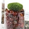 Dyed & Heated Natural Agate Beads G-J402-02A-01-3