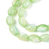 Natural Trochus Shell Beads Strands X-SHEL-K006-19-01C-3