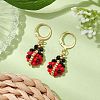 Glass Seed Beads Dangle Earrings EJEW-MZ00329-1