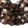 Natural Petrified Wood Beads Strands G-Z119-A21-02-5