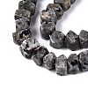 Natural Syenite Beads Strands G-N327-05-27-3