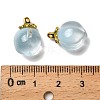 Glass Pendants GLAA-P072-05G-09-3