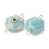 Faceted Natural Amazonite Carved Links G-T146-01G-04-2