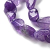 Natural Amethyst Beads Strands G-P497-01C-21-4