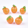 Resin Pendants X-RESI-T028-42-1
