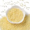 Glass Seed Beads SEED-S042-13A-02-2