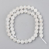 Electroplated Natural White Moonstone Beads Strands X-G-S369-012C-C-2