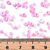 Glass Seed Beads SEED-S059-010-5