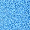 Baking Paint Glass Seed Beads SEED-L011-09A-06-3