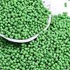 Baking Paint Glass Seed Beads X1-SEED-K010-A27-1