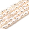 Natural Cultured Freshwater Pearl Beads Strands PEAR-I007-01J-01A-2