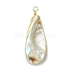 Electroplated Natural Freshwater Shell Pendants PALLOY-JF03336-3