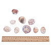 1 Box Scallop Seashells Clam Shell Dyed Beads with Holes for Craft Making 40-50pcs BSHE-YW0001-01-4