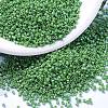 MIYUKI Delica Beads Small X-SEED-J020-DBS0163-1